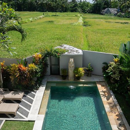 Ananditha Villa Ubud Ricefield Views Dış mekan fotoğraf