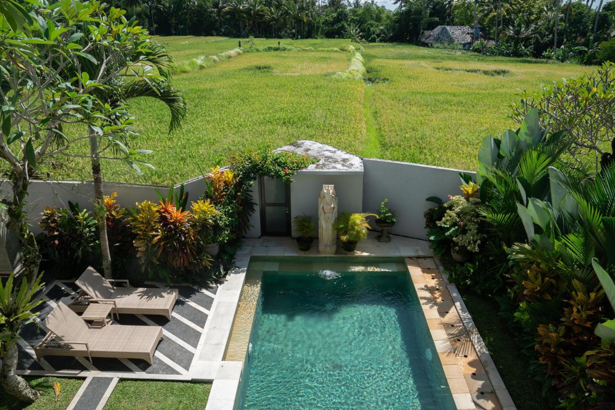 Ananditha Villa Ubud Ricefield Views Dış mekan fotoğraf