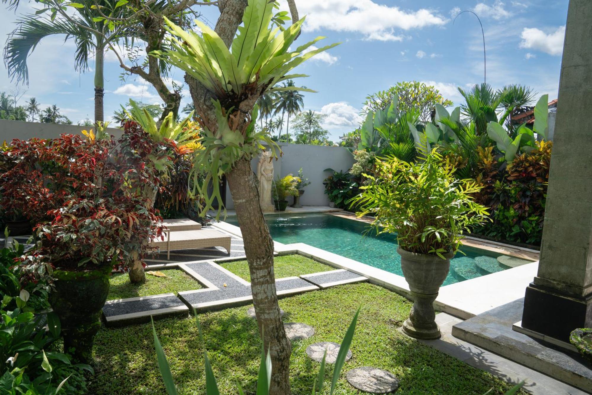 Ananditha Villa Ubud Ricefield Views Dış mekan fotoğraf